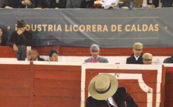 5ª de Feria, Festival: Maestría sin Toro