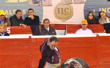 5ª de Feria, Festival: Sin Toro No Hay Arte