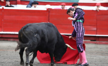 Corridas de toros en Colombia: demandas buscan tumbar decreto que impone nuevas restricciones