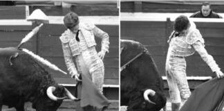 Borja Sacude Manizales