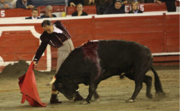 Festival Taurino de la Mansedumbre