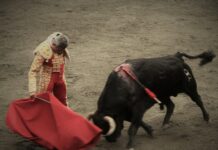 6ª de Manizales: Juego y Ambición