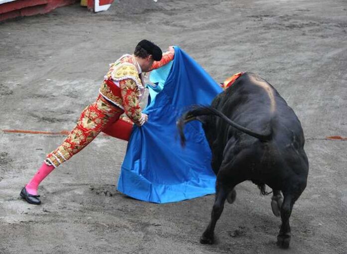 WhatsApp Image 2026-01-07 at 8.33.07 PM