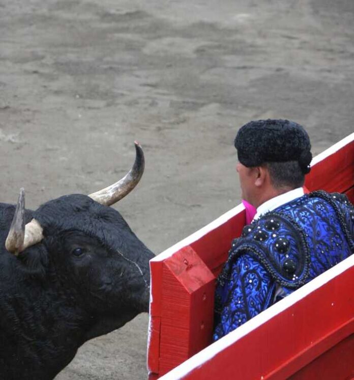 WhatsApp Image 2026-01-07 at 8.33.13 PM (3)