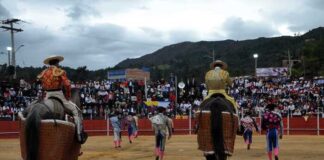 De Reparto: El Toro, Eje de la Lidia