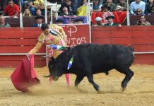 2ª de Lenguazaque: Apoteosis y Vida en Santa Bárbara