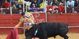 2ª de Lenguazaque: Apoteosis y Vida en Santa Bárbara