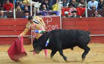 2ª de Lenguazaque: Apoteosis y Vida en Santa Bárbara