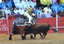 De Reparto: Donde se Decide la Lidia