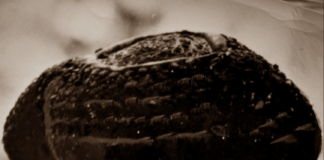 El Matador Colombiano que no Teníamos en la Memoria