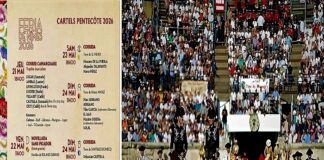 Nimes Convoca la Grandeza del Toreo Europeo