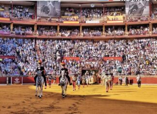 Córdoba Recupera su Esplendor Taurino