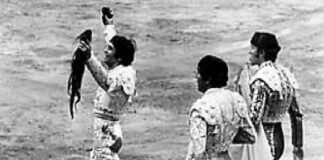 Viñeta: Aquellos Sesenta… (V)