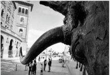 Viñeta: Aquellos Sesenta… (VI)