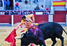 Madrid: Ovación de Verdad en una Tarde Sin Raza