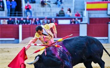 Madrid: Ovación de Verdad en una Tarde Sin Raza