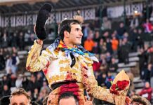 Valencia: Gloria en la Arena Fallera