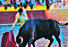 Castellón: Cierra con Bravura Ausente