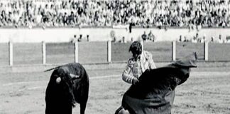 Viñeta: Aquellos Sesenta… (IV)