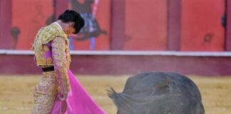 El capote de Aguado y la entrega de Fortes