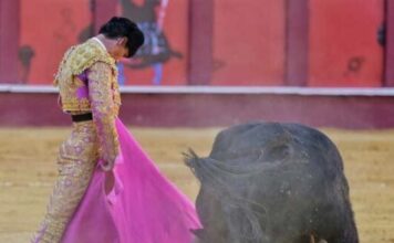El capote de Aguado y la entrega de Fortes