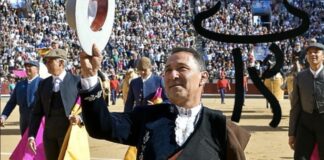 Rincón y el triste sino de su ganadería