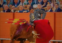 Sevilla: Morante Incendia, el Palco Enfría la Gloria de Roca Rey