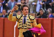 Sevilla: Oficio y Verdad Ante un Encierro Sin Alma