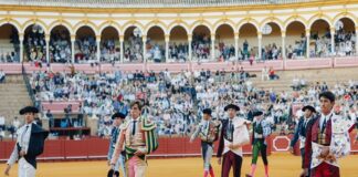 Sevilla: Raza y Pulso en el Albero