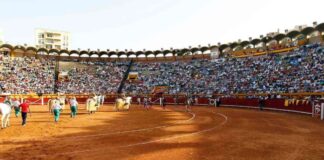 Roca Rey, Castella y Talavante lideran en Algeciras este verano