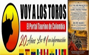 Tauromaquia: Llama Cultural Que Sigue Viva