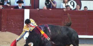 San Isidro: Corrida de Máxima Exigencia
