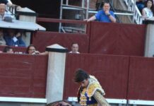 San Isidro: Un Toro y Un Torero