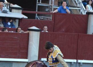 San Isidro: Un Toro y Un Torero
