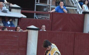 San Isidro: Un Toro y Un Torero
