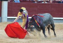 San Isidro: Saltillos Sin Mayores Opciones en Tarde Nula de Trofeos