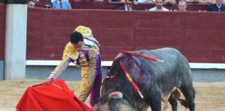 San Isidro: Saltillos Sin Mayores Opciones en Tarde Nula de Trofeos