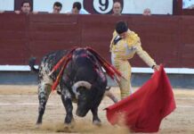 San Isidro: Concierto de Silencios en el 12o Festejo de la Feria