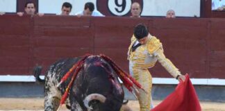 San Isidro: Concierto de Silencios en el 12o Festejo de la Feria