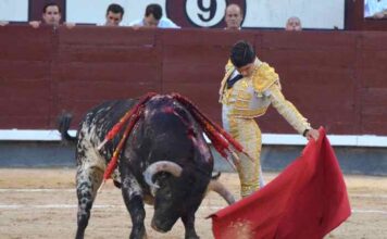 San Isidro: Concierto de Silencios en el 12o Festejo de la Feria