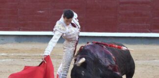 San Isidro: Discutida Oreja a de Miranda en Tarde Escasa de Toro