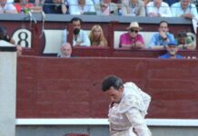San Isidro: El Rostro Invisible del Bravo