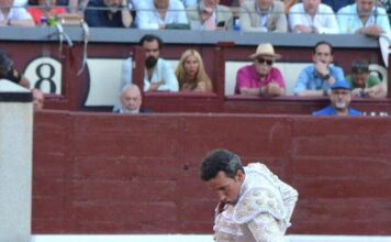 San Isidro: El Rostro Invisible del Bravo