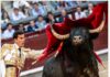 San Isidro: El Toro Que No Se Deja