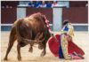San Isidro: Pedraza Vence
