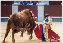 San Isidro: Pedraza Vence