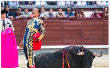 San Isidro: Lamentable