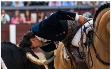 San Isidro: El Jinete Máximo