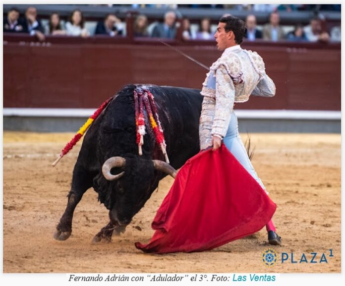 JADR-SanIsidro-17.05.2026