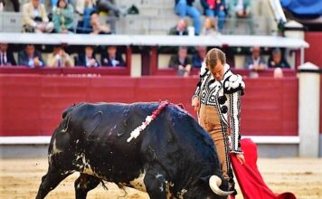 Madrid: Hierro Exigente, Honor Intacto